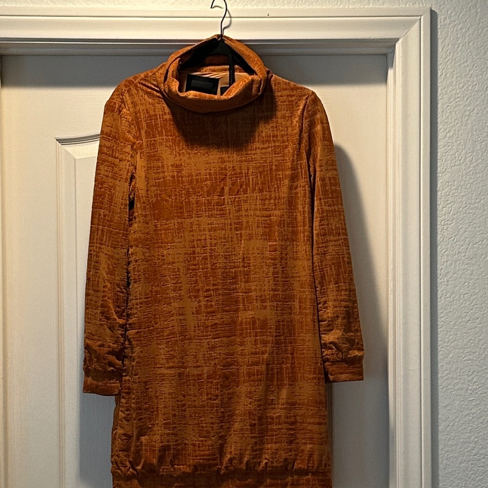 Rust Velvet Turtleneck Long-Sleeve Dress